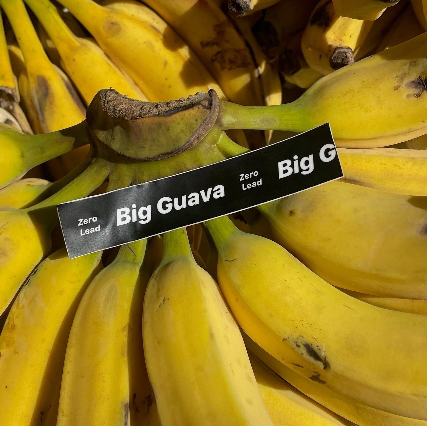 Big Guava Power Absorb, Zero Lead Weights